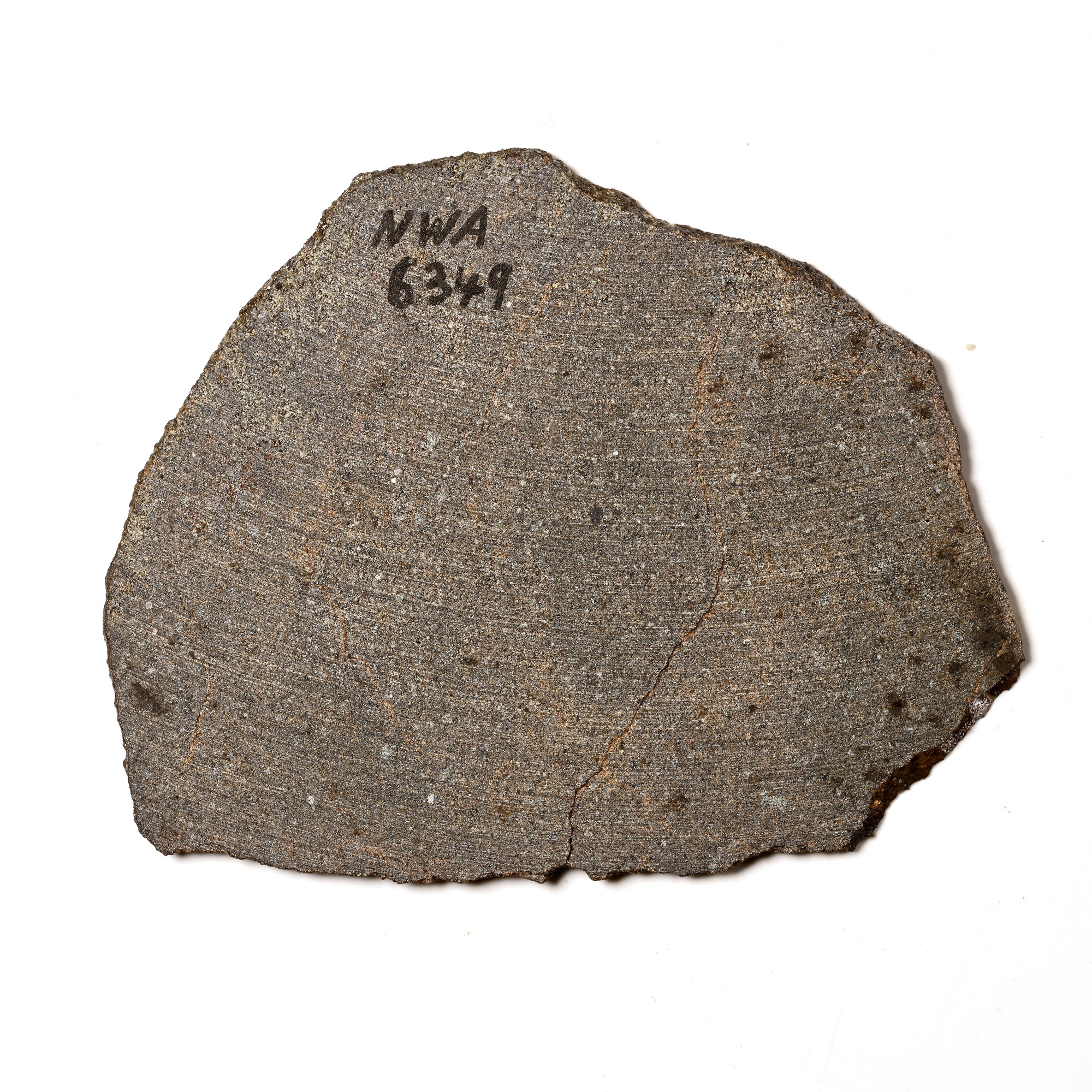 Natural History - Brachinite NWA 6349 Meteorite Slice